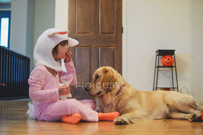 Дівчинка в костюмі зайця сидить на підлозі і їсть цукерки Хелловін з собакою золотого ретривера. — стокове фото