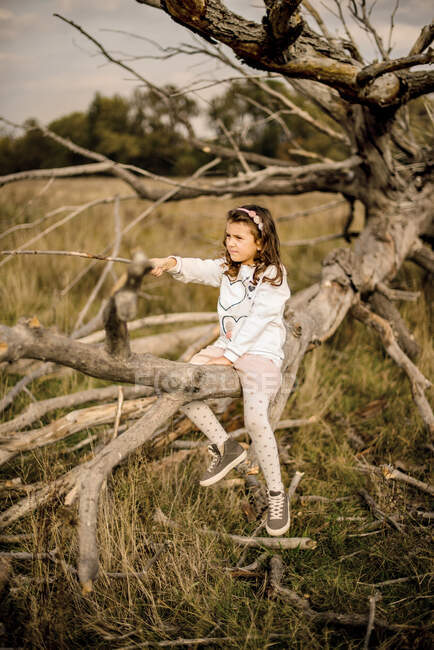 Девушка сидит на упавшем стволе дерева, держа палку — стоковое фото