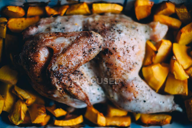 Tasty roast chicken with pumpkin, closeup view — Stock Photo