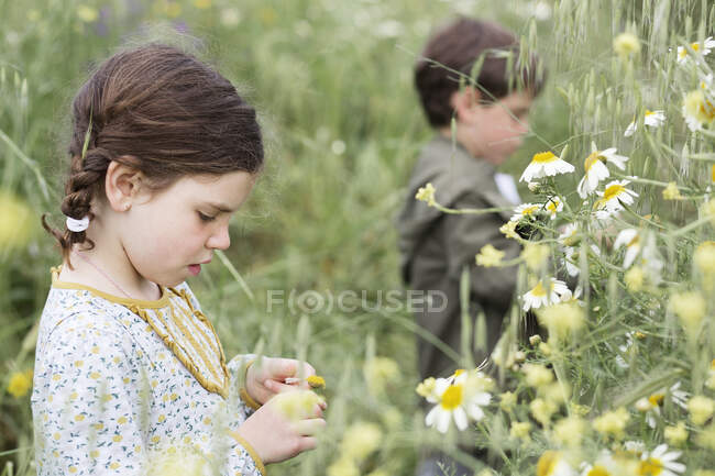 Mädchen und Junge stehen im Gänseblümchenfeld — Stockfoto