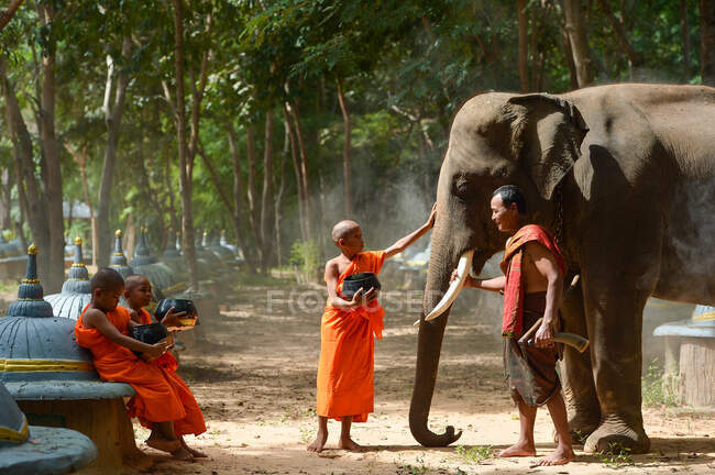 Elefante y monje, Surin Tailandia - foto de stock