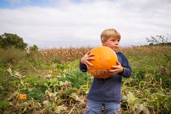 Хлопчик стоїть у полі з гарбузом — стокове фото