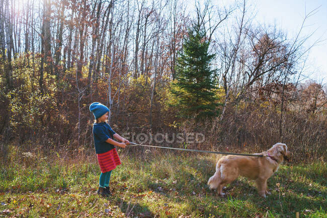 Chica tomando su perro cachorro retriever de oro para un paseo - foto de stock