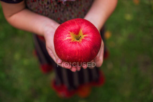 Girl holding an apple in her hands — Stock Photo