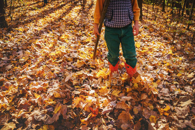 Хлопчик у ковбойських черевиках, що йдуть крізь осіннє листя — стокове фото