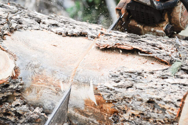 Nahaufnahme der Kettensäge beim Schneiden von Holz — Stockfoto