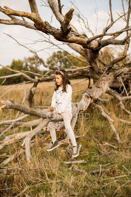 Menina sentada em um tronco de árvore caído — Fotografia de Stock