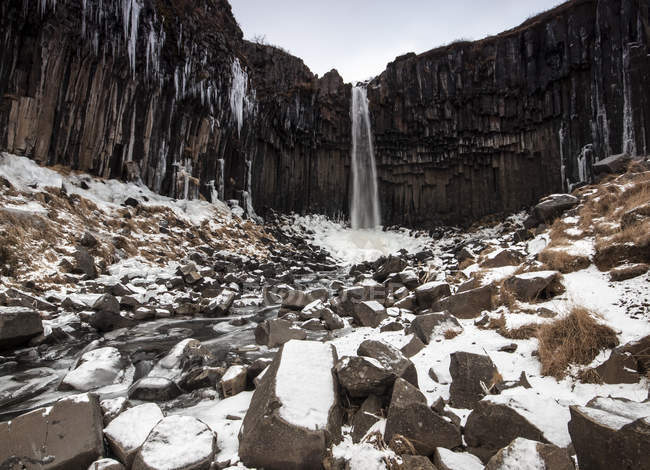 Svartifoss wasserfall im winter, vatnajokull nationalpark, island — Stockfoto