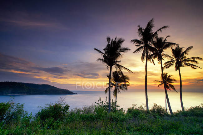Vista panorámica de palmeras y costa del océano al atardecer, Lombok - foto de stock
