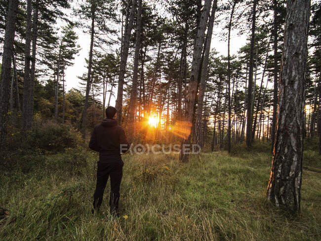 Mann steht bei Sonnenaufgang im Wald, Navarra, Spanien — Stockfoto