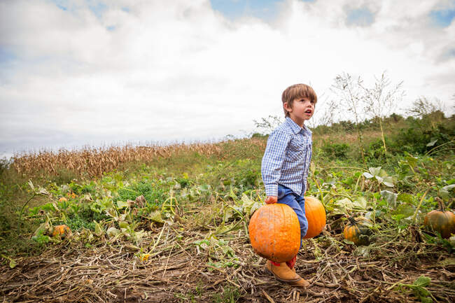 Boy carrying two pumpkins in a field — Stock Photo