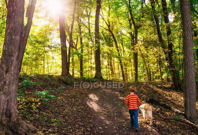 Menino e cão golden retriever caminhando na floresta — Fotografia de Stock