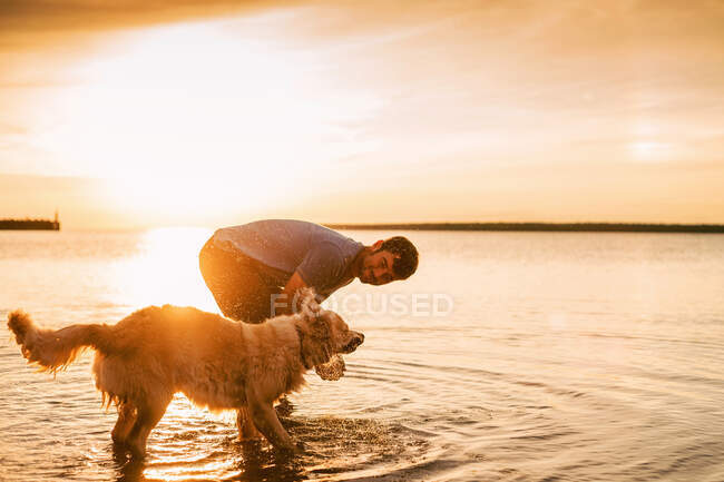 Чоловік грає зі своїм золотошукачем собакою в озері на заході сонця — стокове фото