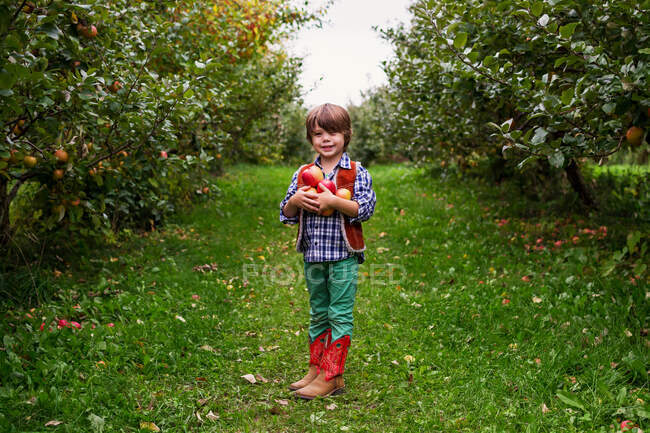 Ragazzo in un frutteto che trasporta mele sulla natura — Foto stock