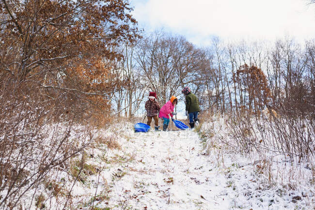 Trois enfants avec des traîneaux debout au sommet d'une colline — Photo de stock