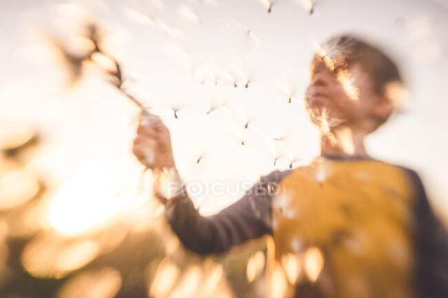 Image floue d'un garçon libérant des graines dans le vent — Photo de stock