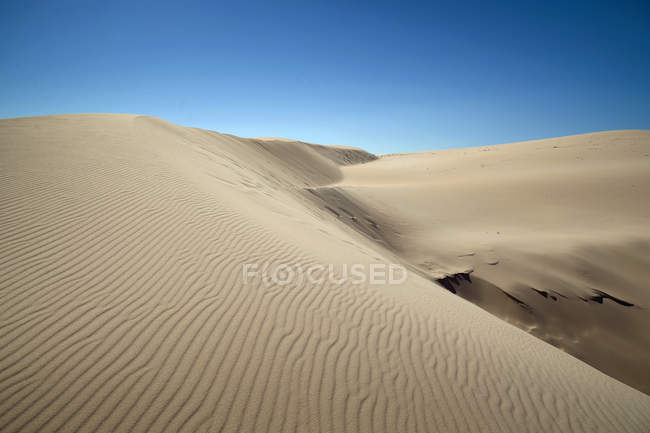 Vista panorámica de las dunas de arena, Bolonia, Cádiz, Andalucía, España - foto de stock