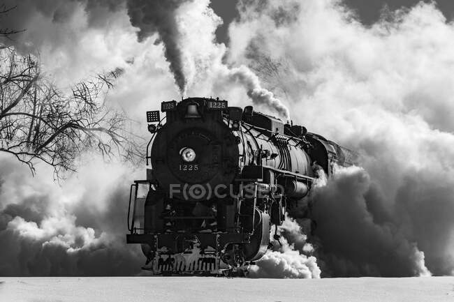 Pere Marquette 1225 is a 2-8-4 (Berkshire) steam locomotive built for Pere Marquette Railway (PM) by Lima Locomotive Works in Lima, Ohio. 1225 is one of two surviving Pere Marquette 2-8-4 locomotives. — Stock Photo