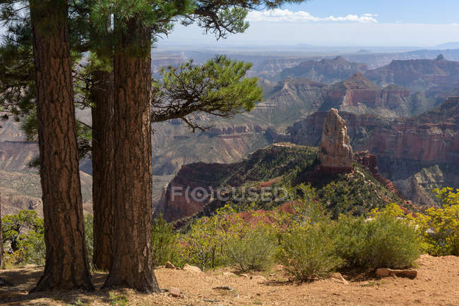 Vue panoramique de Point Imperial, Grand Canyon, Arizona, Amérique, USA — Photo de stock