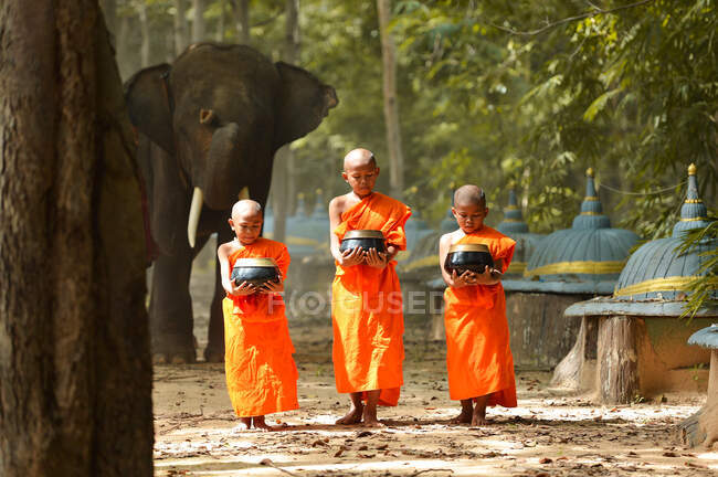Elefant und Mönch Vintage-Stil, Surin Thailand — Stockfoto
