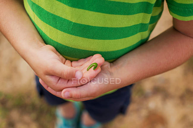 Junge mit einer Raupe in der Hand, abgeschnittenes Bild — Stockfoto