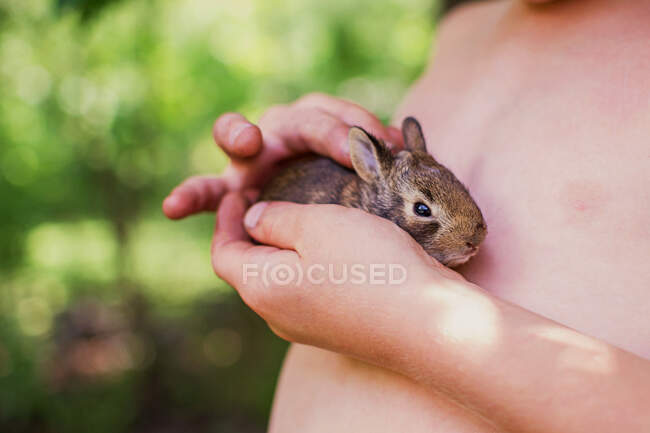 Boy holding a rabbit kitten — Stock Photo