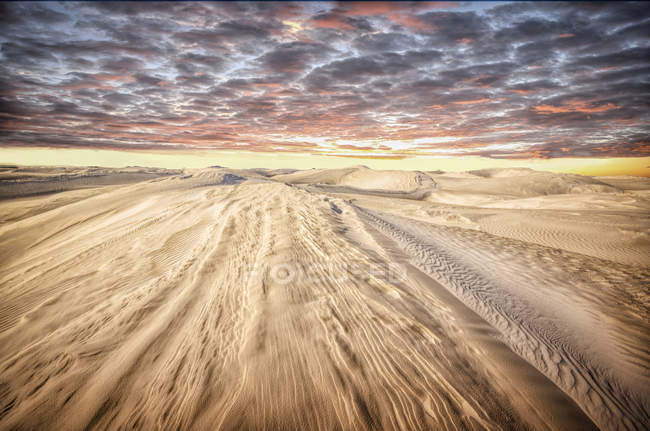 Vista panorámica de las dunas de arena, Lancelin, Australia Occidental, Australia - foto de stock
