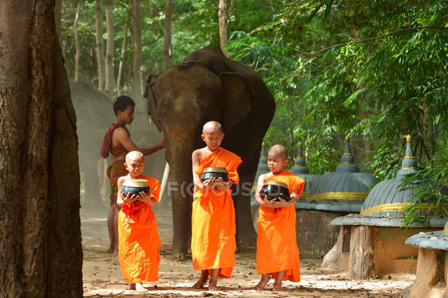 Monk and Elephant  ,Surin Thailand — Stock Photo