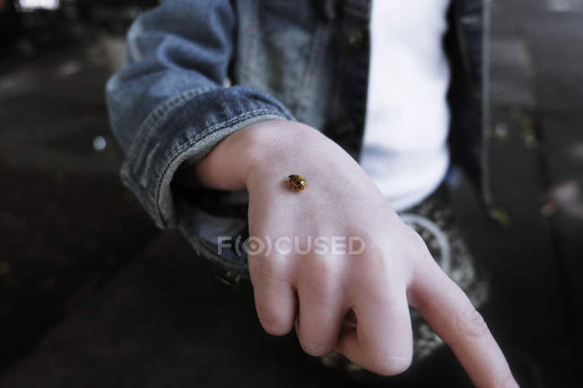 Ladybug crawling on a girl hand, closeup — Stock Photo