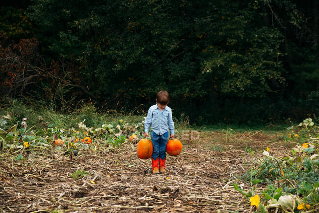 Boy carrying two pumpkins in field — Stock Photo