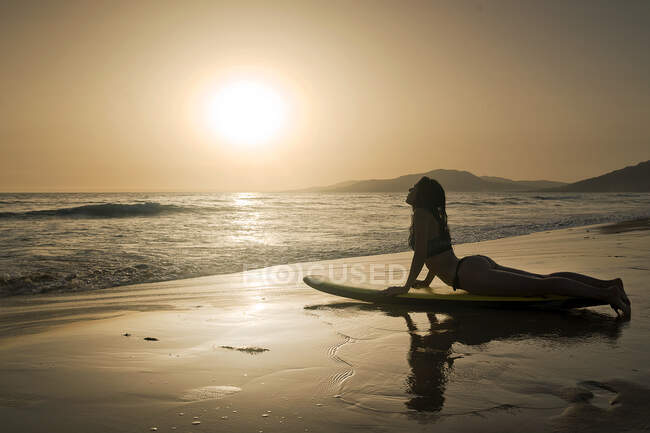 Silhouette of a woman on a surfboard doing cobra yoga pose — Stock Photo
