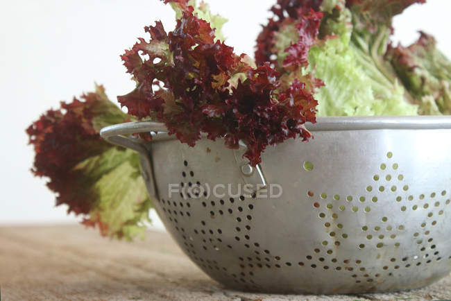 Lettuce in a colander over wooden table at kitchen — Stock Photo