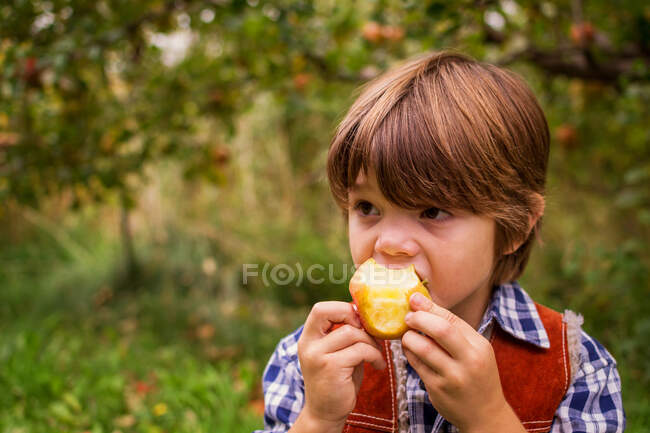 Junge steht in einem Obstgarten und isst einen Apfel — Stockfoto