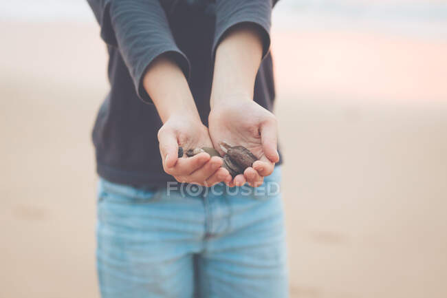 Niño sosteniendo conchas marinas y guijarros - foto de stock
