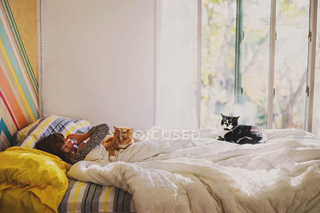 Chica acostada en la cama con dos gatos - foto de stock