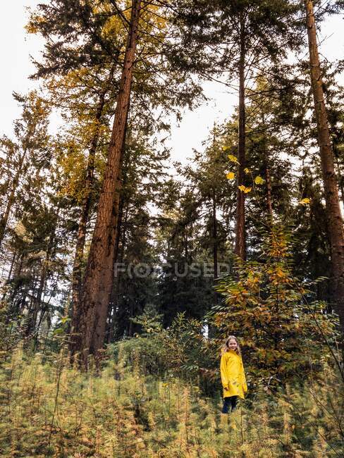 Ragazza in piedi in una foresta, Utrecht, Olanda — Foto stock