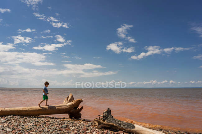 Menino caminhando ao longo do tronco da árvore na praia — Fotografia de Stock
