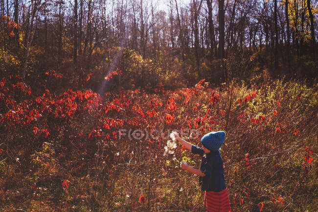 Menina em um prado colhendo plantas — Fotografia de Stock