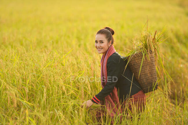 Portrait of a Woman harvesting crop, Thailand — Stock Photo