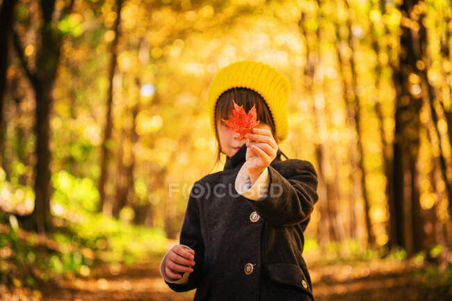 Chica de pie en el bosque sosteniendo una hoja de otoño - foto de stock