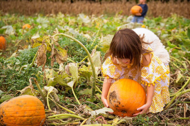 Boy and girl choosing pumpkins in a field — Stock Photo