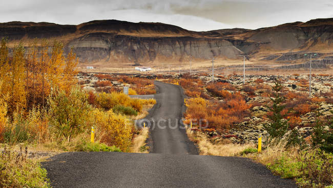 Живописный вид на дорогу через сельский пейзаж, Исландия — стоковое фото