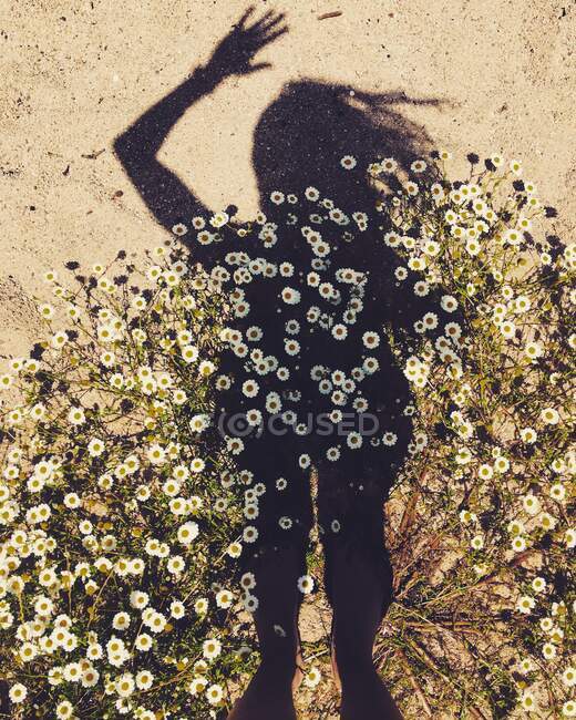 Woman's shadow on beach in flowers — Stock Photo