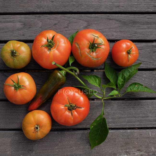 Los tomates y el chile a la mesa de madera - foto de stock