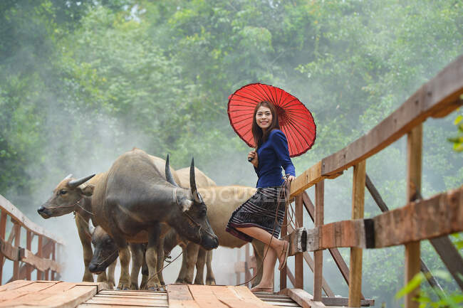 Donna in piedi sul ponte con bufalo, Thailandia — Foto stock