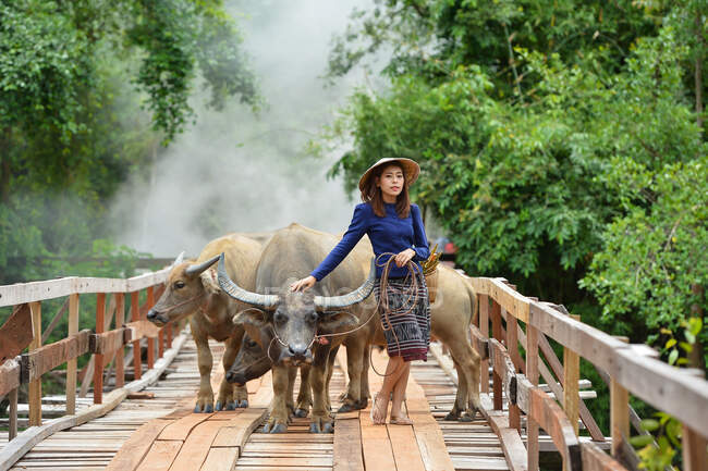 Woman walking across bridge with buffalo, Thailand — Stock Photo