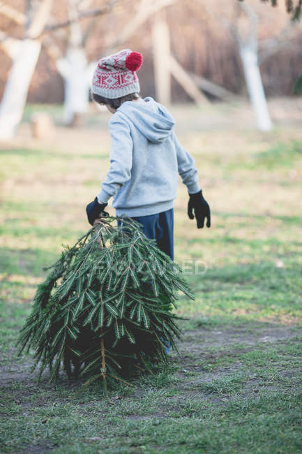 Vista posteriore del piccolo ragazzo che porta un albero di Natale — Foto stock