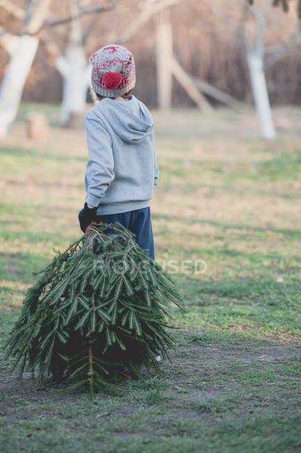 Vue arrière du petit garçon portant un arbre de Noël — Photo de stock