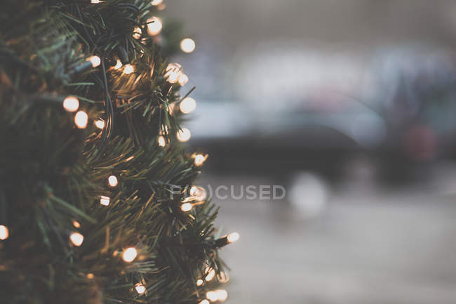Gros plan des lumières de fées sur un sapin de Noël — Photo de stock
