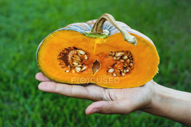 Man's hand holding a halved pumpkin — Stock Photo